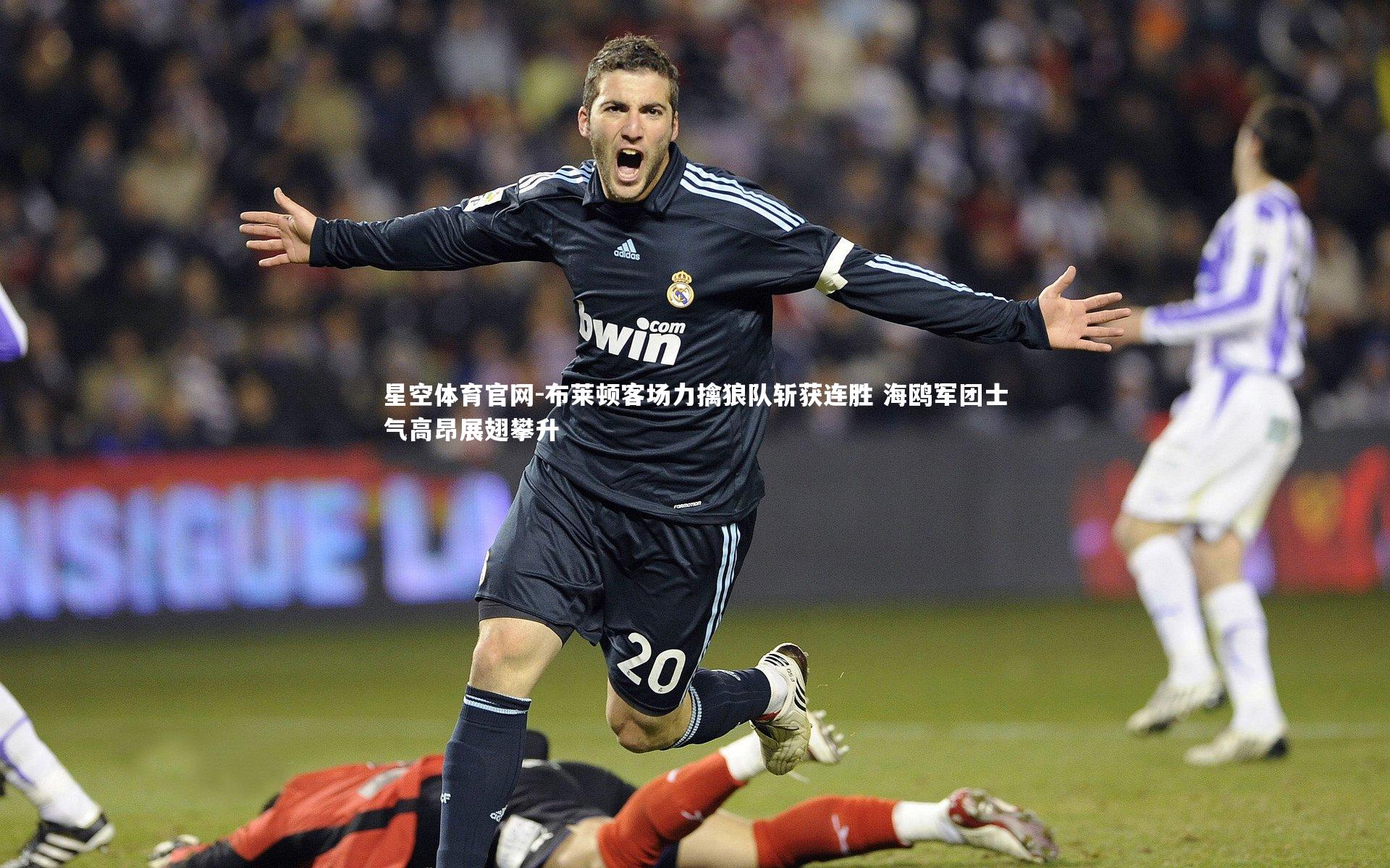 星空体育官网-布莱顿客场力擒狼队斩获连胜 海鸥军团士气高昂展翅攀升