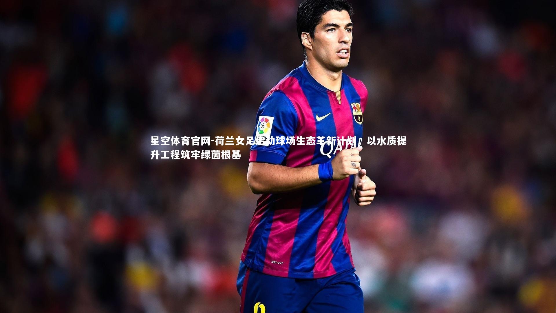 荷兰女足启动球场生态革新计划,以水质提升工程筑牢绿茵根基