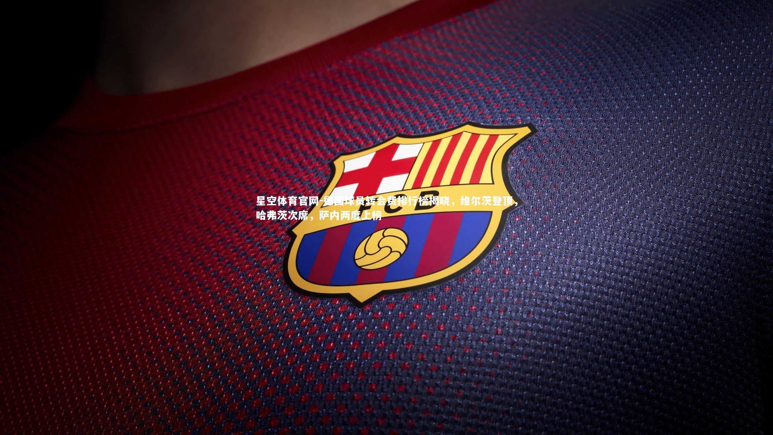 星空体育官网-德国球员转会费排行榜揭晓,维尔茨登顶,哈弗茨次席,萨内两度上榜